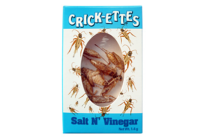 Salt 'N' Vinegar Crickets