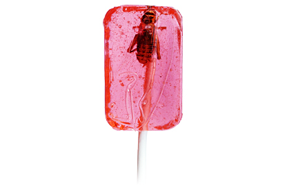 Strawberry Cricket Lollipop