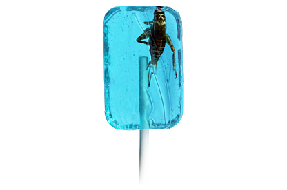 Blueberry Cricket Lollipop