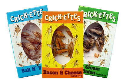 Crickettes 3-Pack