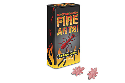 Spicy Cinnamon Fire Ants