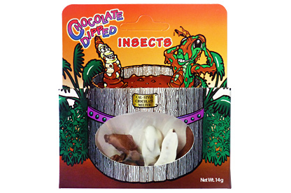 Chocolate Dipped Insects