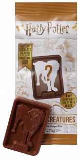 Harry Potter Chocolate Creatures (15g)