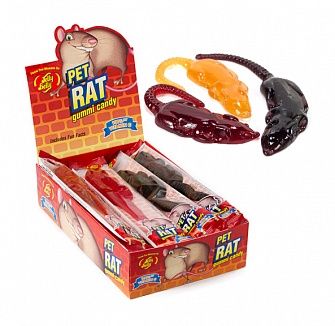 Jelly Belly Pet Rat Gummi Candy (Box of 12)