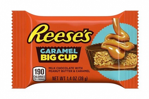 Reese's Peanut Butter Big Cup Caramel (16 x 39g)
