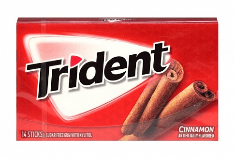 Trident Gum Cinnamon (31g)