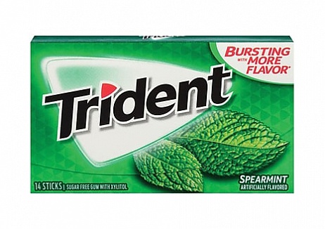 Trident Gum Spearmint (31g)